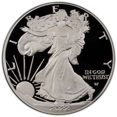 Cert 45756835 - Coin Image