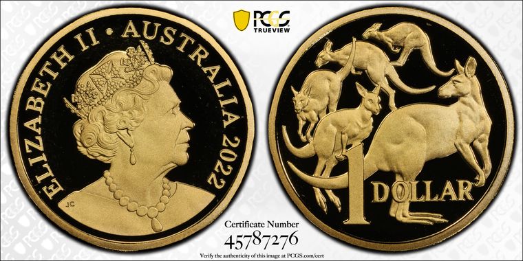 Cert 45787276 - Coin Image