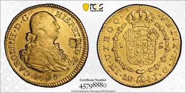 1798-L IJ Escudo Calico-1092 N1