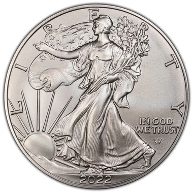 Cert 45806002 - Coin Image