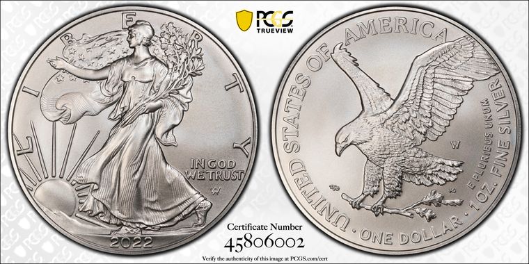 Cert 45806002 - Coin Image