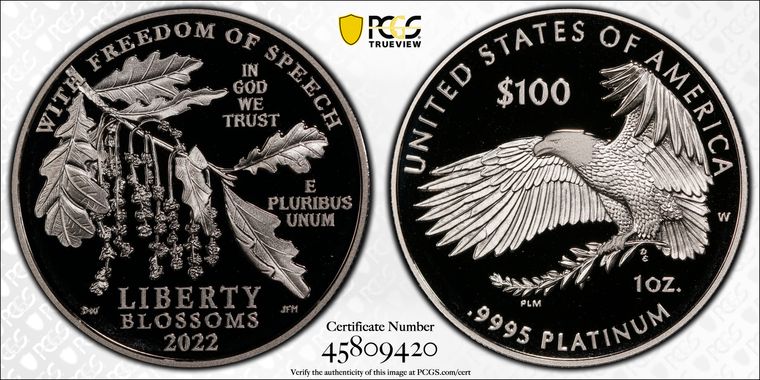 Cert 45809420 - Coin Image