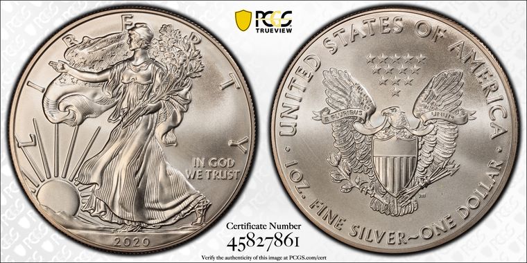 Cert 45827861 - Coin Image