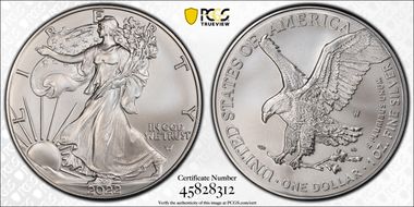 2022-W $1 Burnished Silver Eagle SP69
