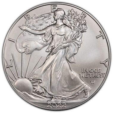 Cert 45828313 - Coin Image