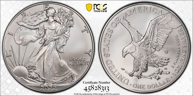 2022-W $1 Burnished Silver Eagle SP70