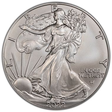 Cert 45828315 - Coin Image