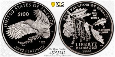 2022-W $100 Freedom of Speech PR69DCAM