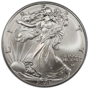 Cert 45845024 - Coin Image