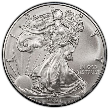 Cert 45845378 - Coin Image