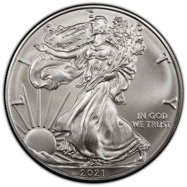 Cert 45845484 - Coin Image