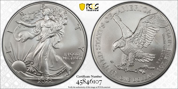 Cert 45846107 - Coin Image