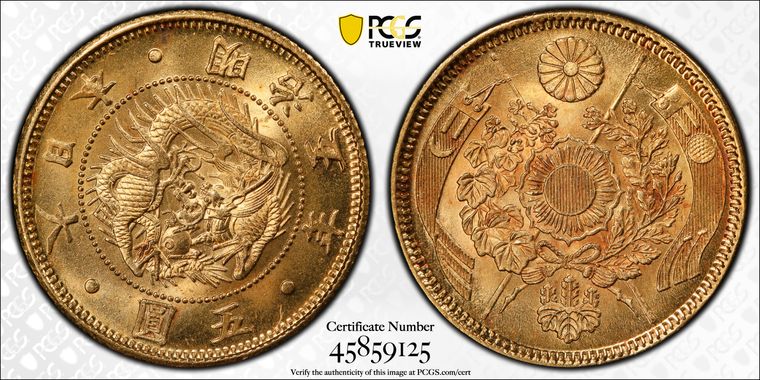 Cert 45859125 - Coin Image