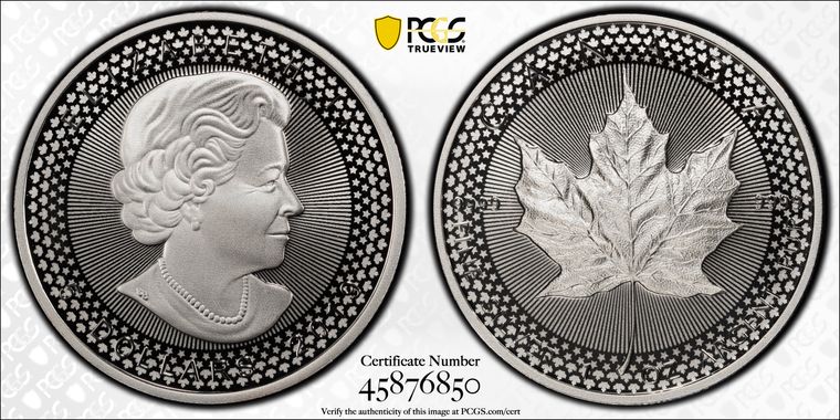 Cert 45876850 - Coin Image