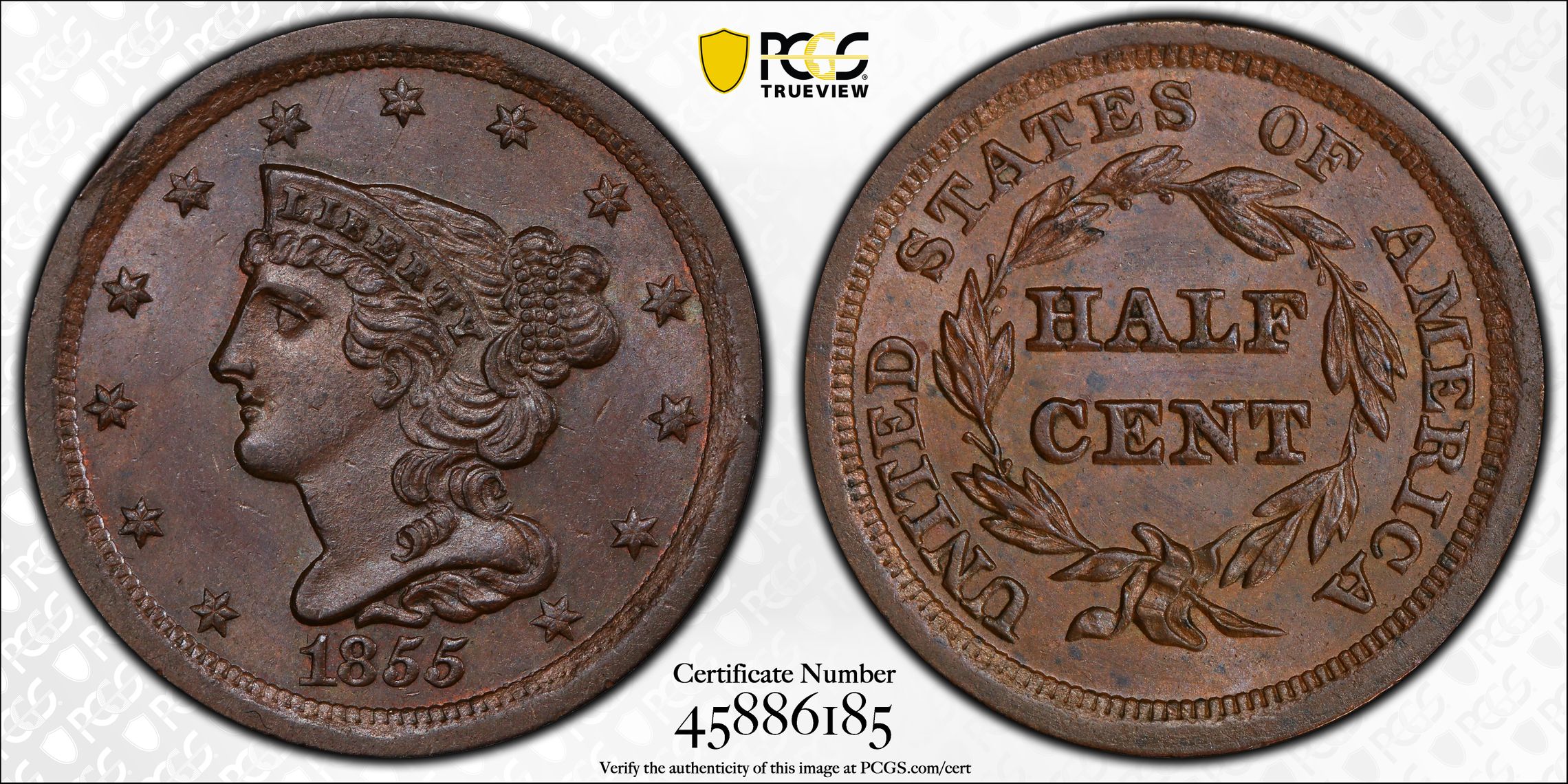 1855 P Half Cent