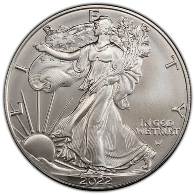Cert 45902813 - Coin Image