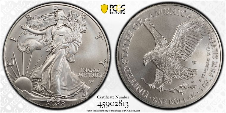 Cert 45902813 - Coin Image