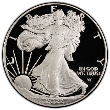 Cert 45902816 - Coin Image