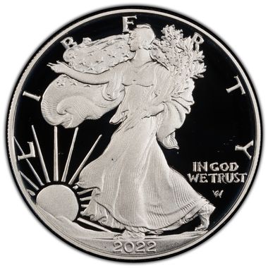 Cert 45902819 - Coin Image