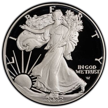 Cert 45902820 - Coin Image