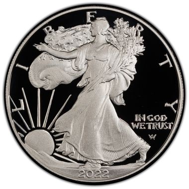 Cert 45902821 - Coin Image