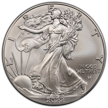 Cert 45904615 - Coin Image