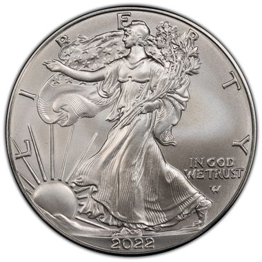 Cert 45904616 - Coin Image