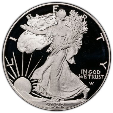Cert 45911591 - Coin Image