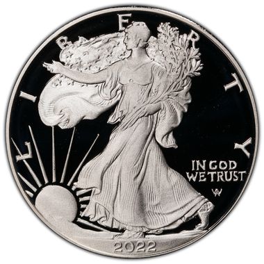 Cert 45911592 - Coin Image