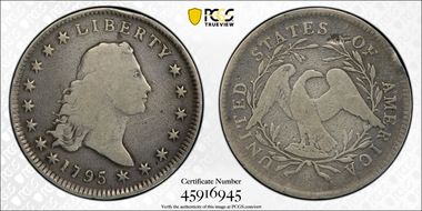 1795 $1 Flowing Hair, 2 Leaves N1