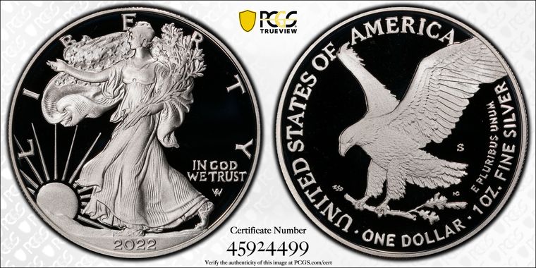 Cert 45924499 - Coin Image