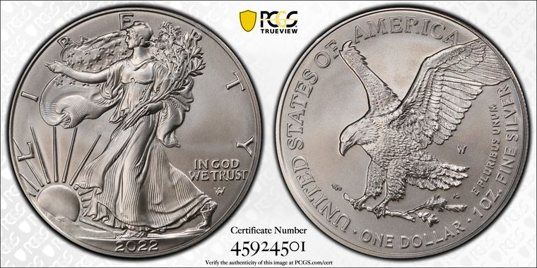 Cert 45924501 - Coin Image