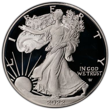 Cert 45934071 - Coin Image