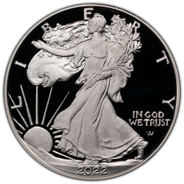 Cert 45944579 - Coin Image