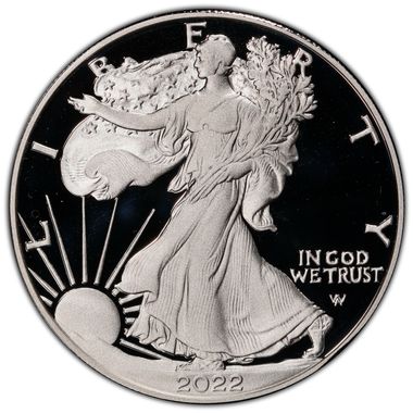 Cert 45952224 - Coin Image