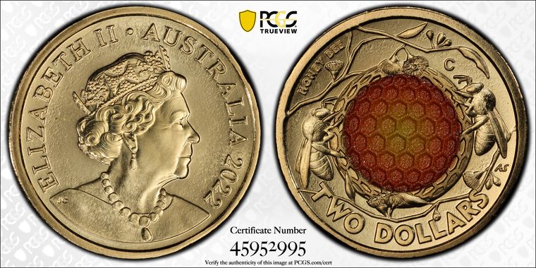 Cert 45952995 - Coin Image