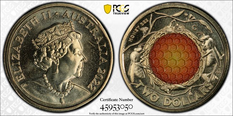 Cert 45953050 - Coin Image