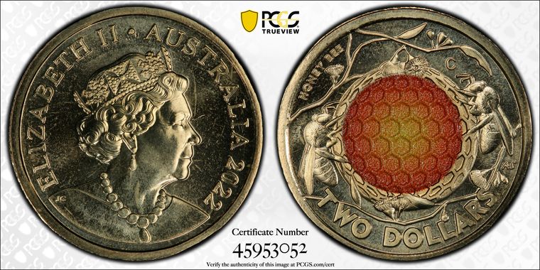 Cert 45953052 - Coin Image