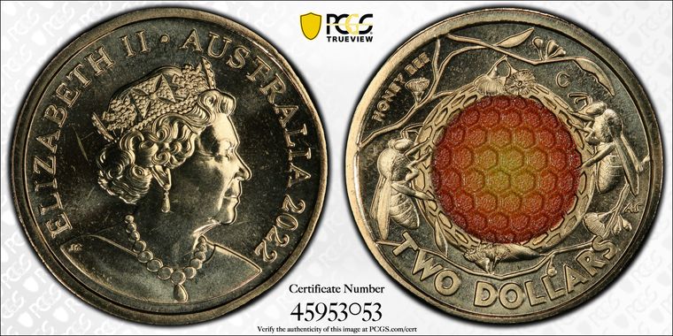 Cert 45953053 - Coin Image