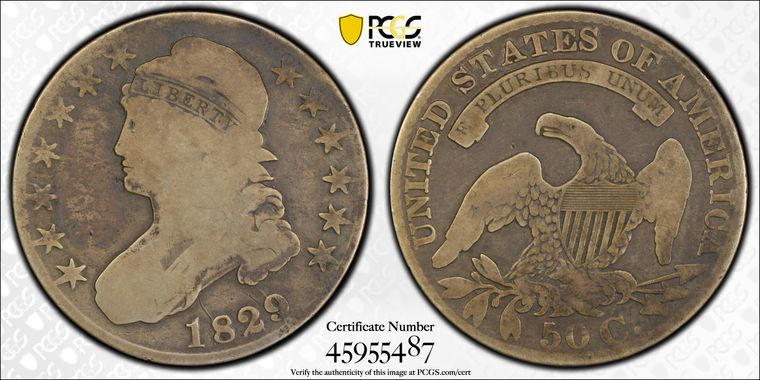 Cert 45955487 - Coin Image