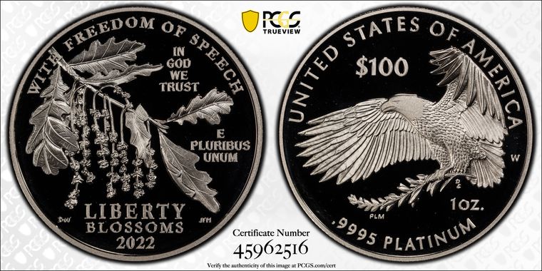 Cert 45962516 - Coin Image