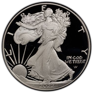 Cert 45970510 - Coin Image