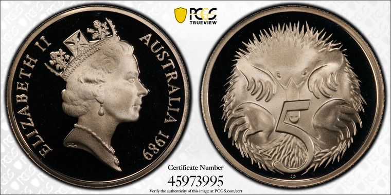 Cert 45973995 - Coin Image