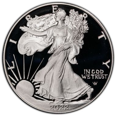 Cert 45975378 - Coin Image