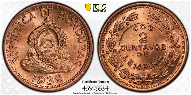 Cert 45975534 - Coin Image