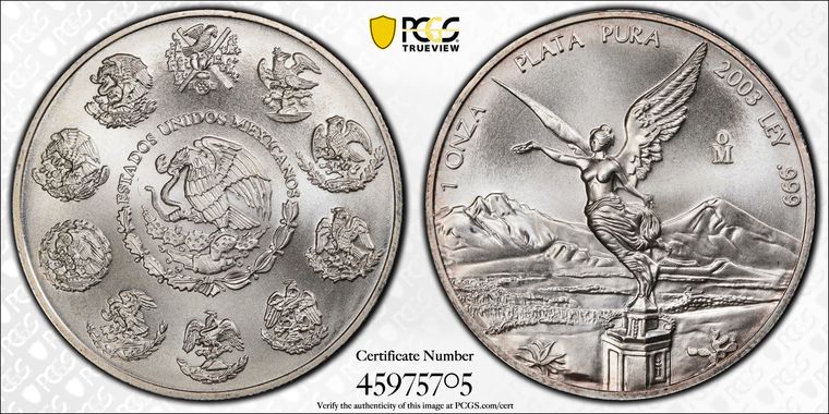 Cert 45975705 - Coin Image