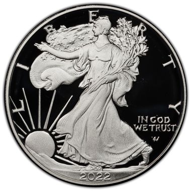 Cert 45976743 - Coin Image