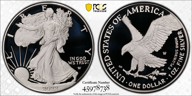 Cert 45978738 - Coin Image