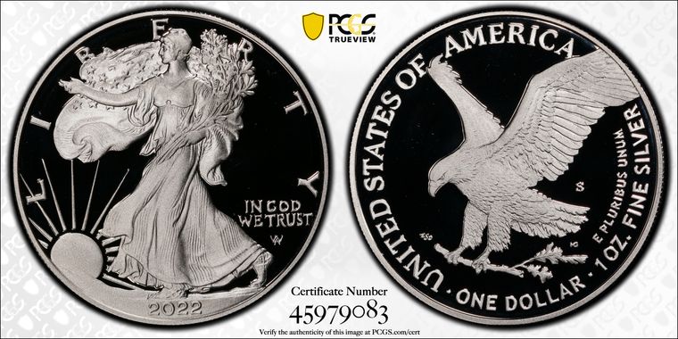 Cert 45979083 - Coin Image