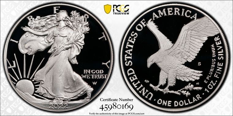 Cert 45980169 - Coin Image